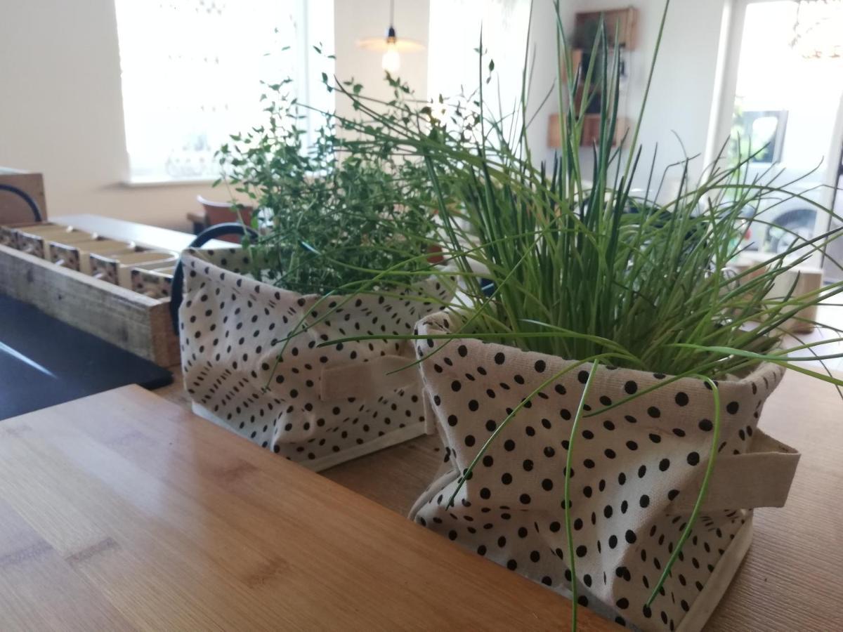 Vakantiewoning-Deblinker Sint-Laureins Kültér fotó